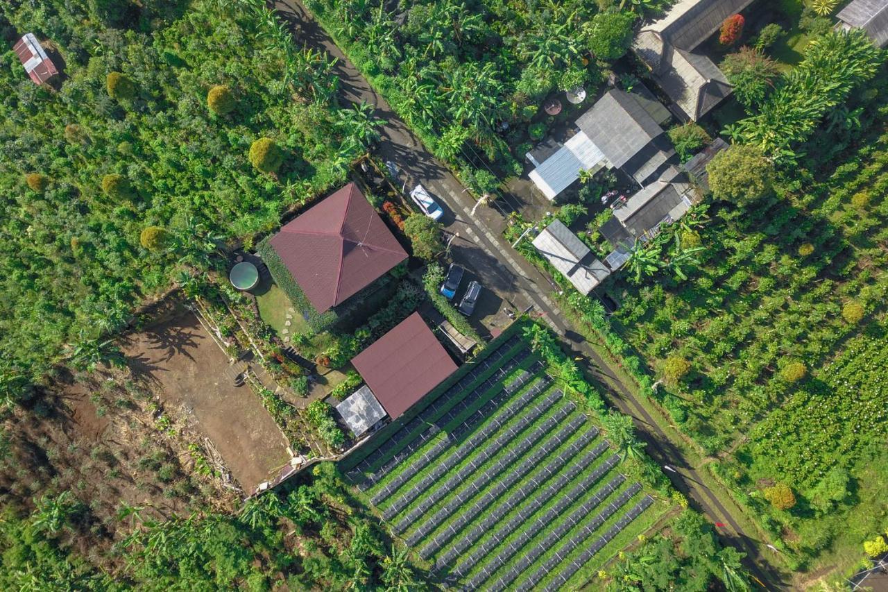 Vila Kayukopi Munduk Exteriér fotografie